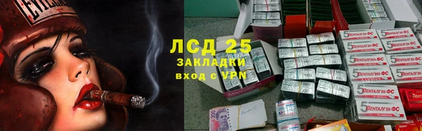 ГАЛЛЮЦИНОГЕННЫЕ ГРИБЫ Балахна