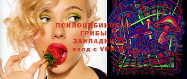 ГАЛЛЮЦИНОГЕННЫЕ ГРИБЫ Балахна